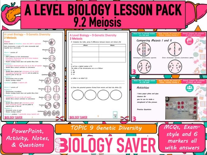 A Level Bio Lesson - 9.2 Meiosis