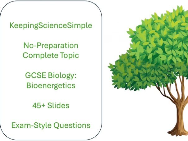 Bundle - Bioenergetics (Photosynthesis and Respiration)