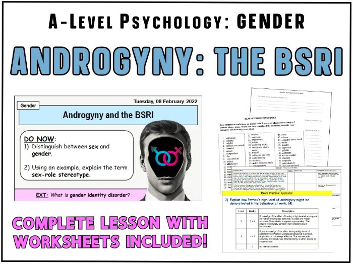 Alevel Psychology ANDROGYNY and the BSRI with 8 mark Exam Question