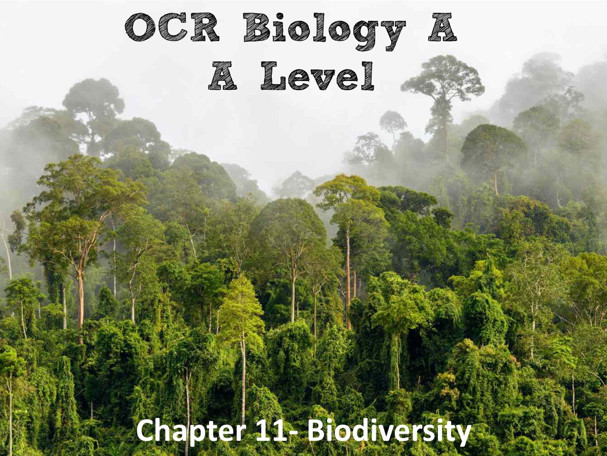 OCR Biology A- Chapter 11 Biodiversity