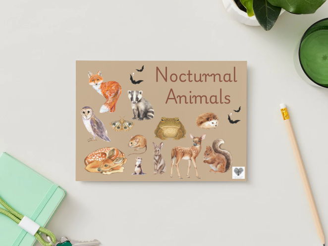 Nocturnal Animals Poster/Playdough Mat