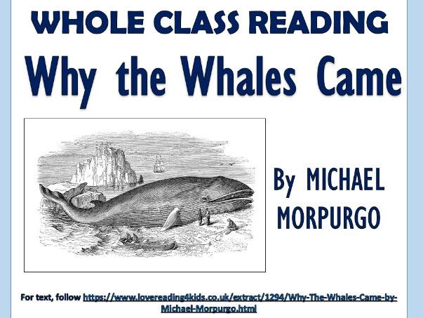 Why the Whales Came - KS2 Reading Comprehension Lesson!