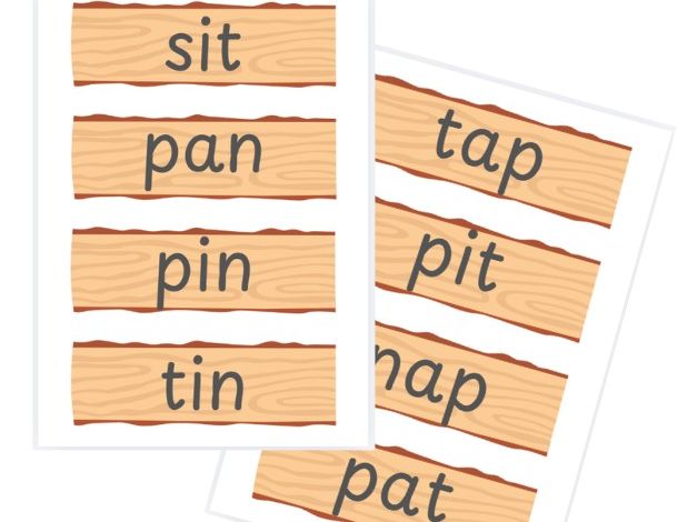 SATPIN Log Slice Words