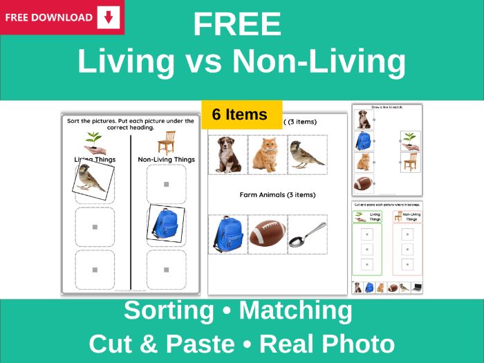 FREE Living vs Non-Living Sorting Sample