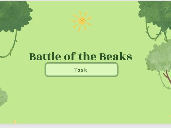 Battle of the beaks Activity Animal Adaptations