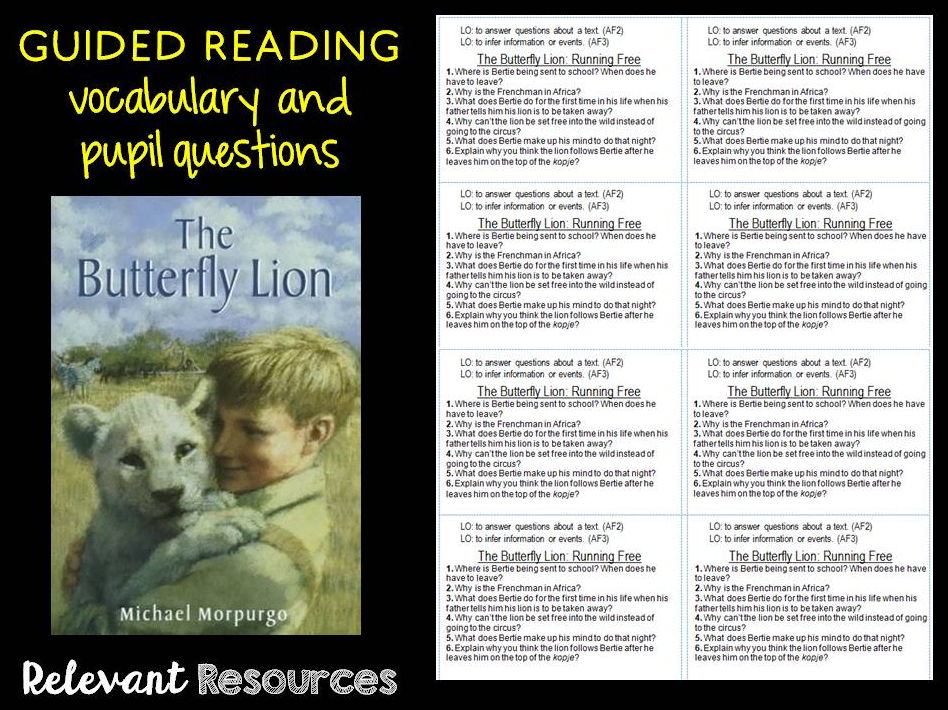 The Butterfly Lion Book