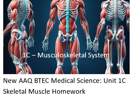 NEW: AAQ BTEC Medical Science Unit 1C Musculoskeletal System - Home works