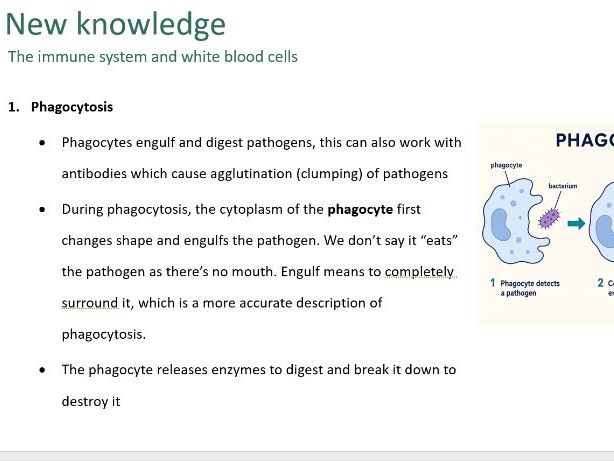 Human defence systems (Biology GCSE AQA)