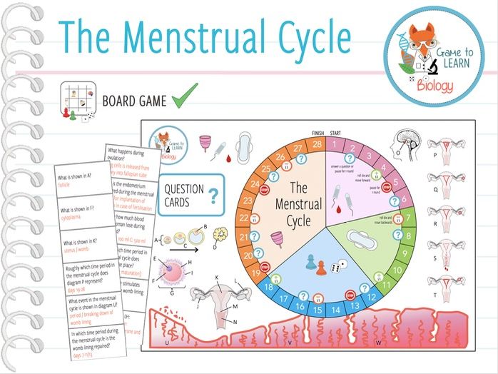 Menstrual Cycle Board Game (KS3/4) Teaching Resources