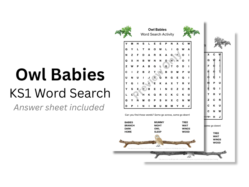 Owl Babies KS1 Word Search Activity