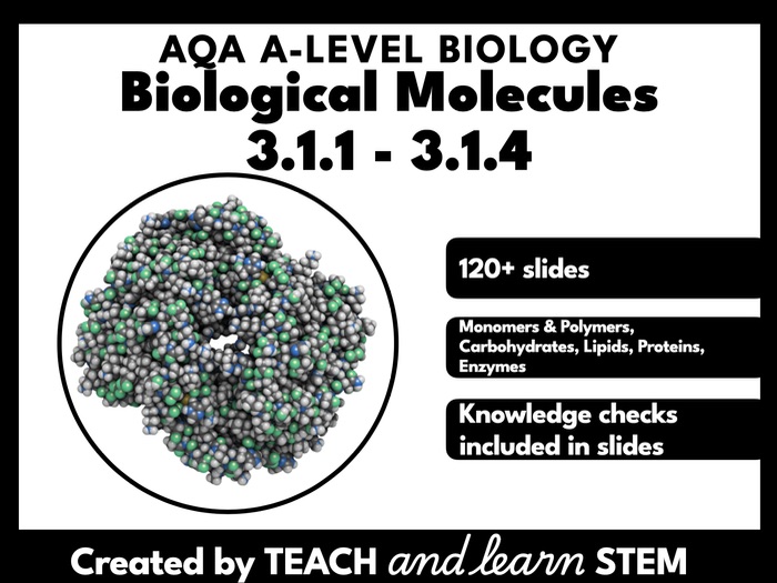 Biological Molecules Part 1 AQA A-level Biology Powerpoint | Carbohydrates | Lipids | Proteins