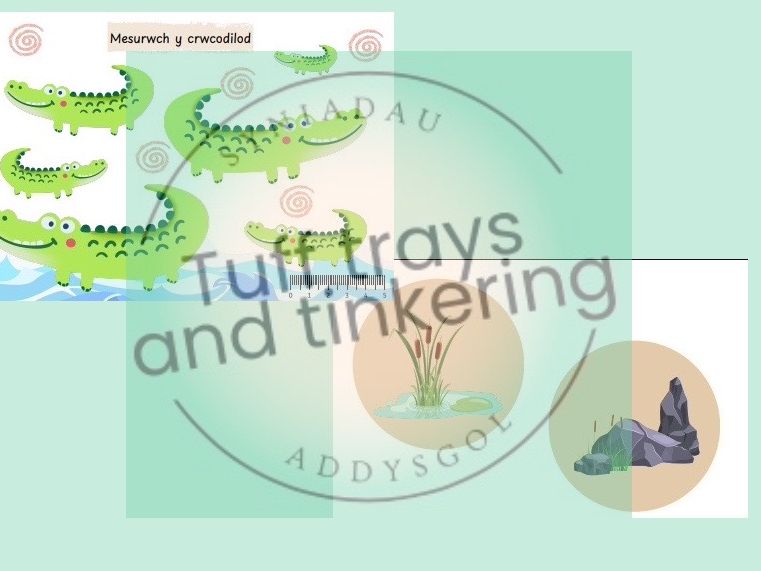 mesur the crocodile maths Curriculum for Wales Early Years PS1 addysg Cymraeg