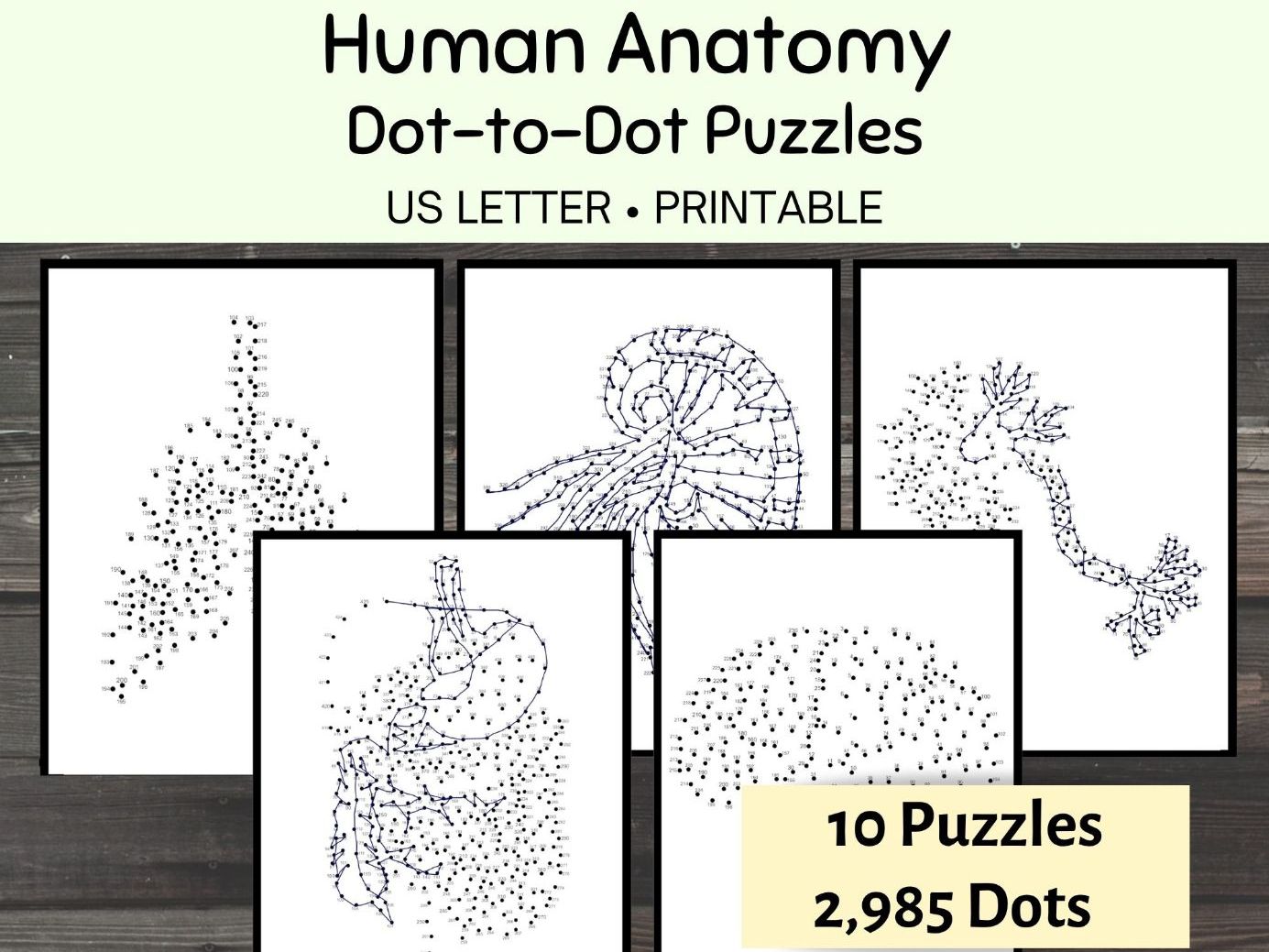 Human Anatomy Dot-to-Dot Puzzles, 10 Organs and Body Systems