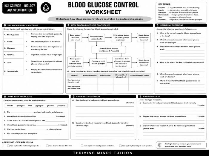 KS4 Science - Biology - Blood Glucose Control worksheet