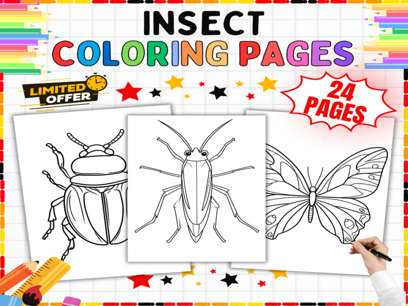 Insect Colouring Pages - Creepy Crawlies Worksheets | Nature Study Art Activities