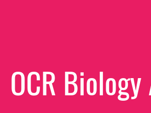 2.5 Cell Membranes Lessons Biology OCR A Level