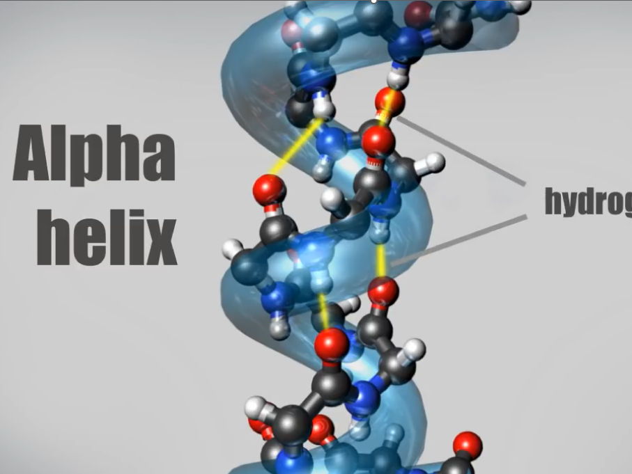 A-Level Biology: Proteins & Inorganic Ions (Lessons 1 & 2) – COMPLETE TOPIC BUNDLE