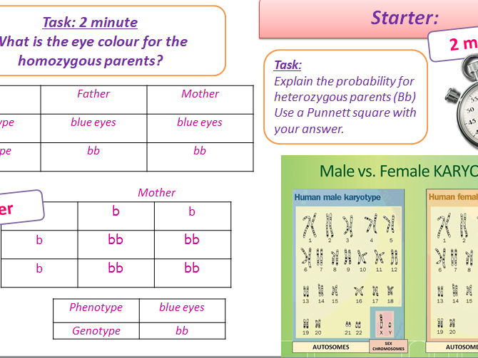GCSE AQA B12 Reproduction Powerpoints, exam questions and activities