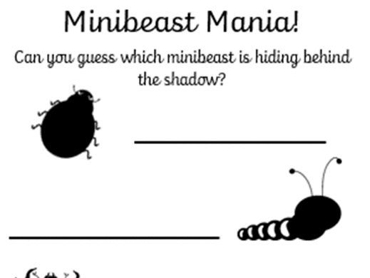 Minibeast Mania (matching game)