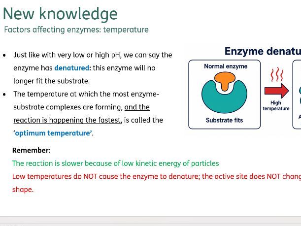 Enzymes
