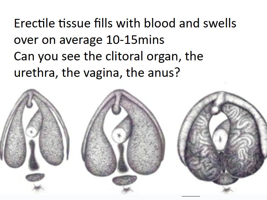 Body awareness, pleasure and communication RSE for KS4 & 5