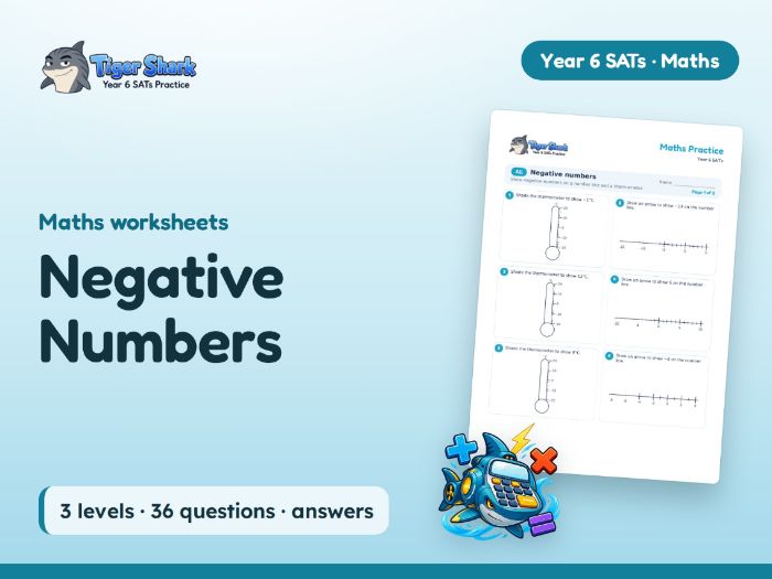 Negative Numbers: Temperature: Year 6
