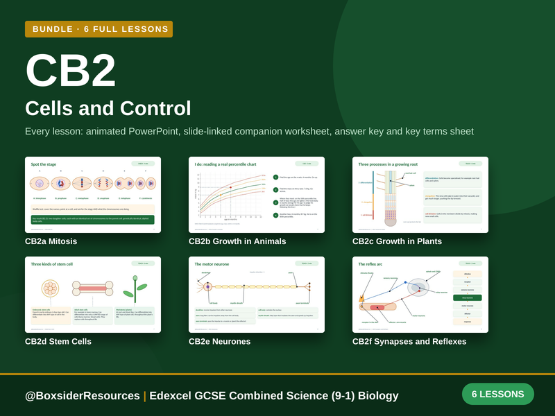 CB2 Cells and Control | Edexcel GCSE Combined Science (9-1) | 6 Lesson Bundle