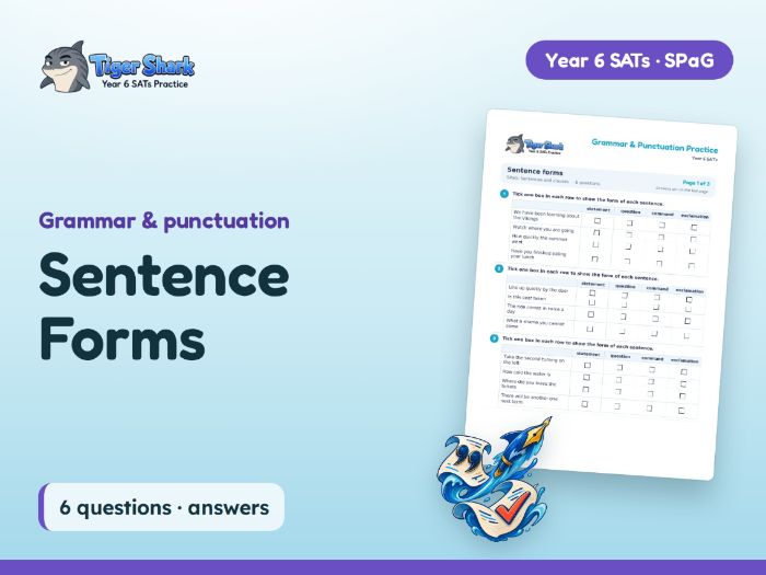 Sentence Forms Worksheet: Year 6 SATs SPaG
