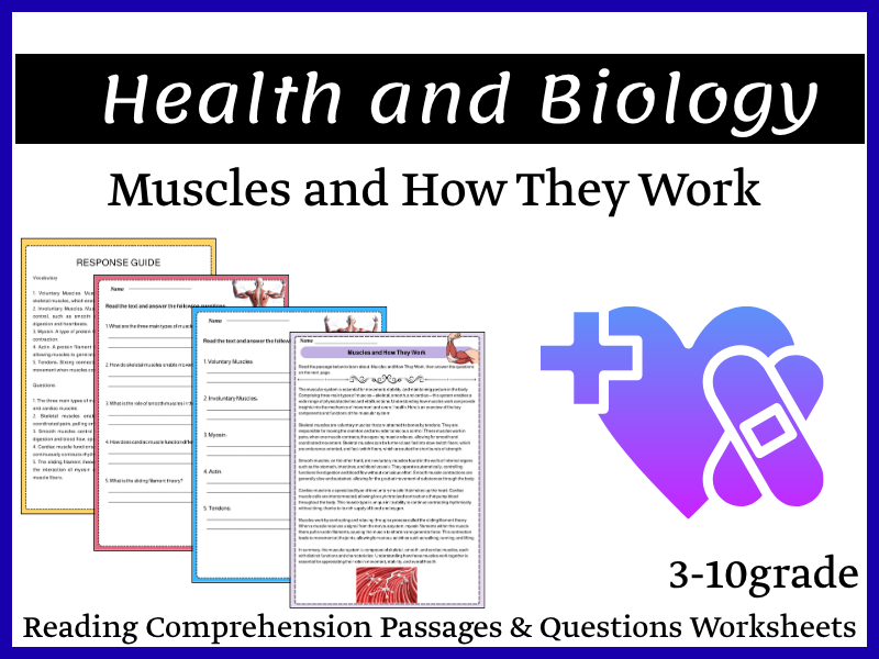 Muscles and How They Work Reading Comprehension Passages & Questions Worksheets