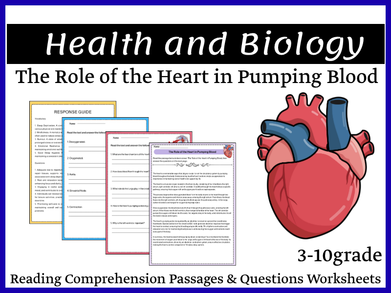 The Role of the Heart in Pumping Blood Reading Comprehension Passages & Questions Worksheets