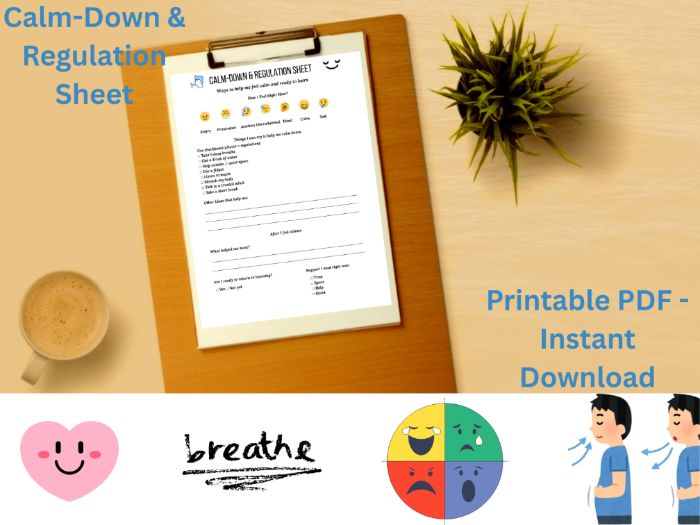 Calm-Down & Regulation Sheet