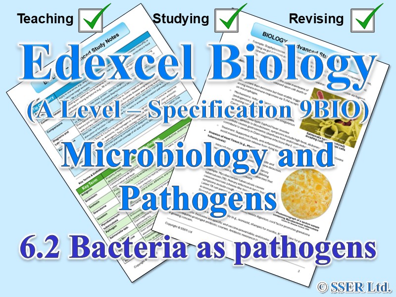 BIOA_EDX Topic Notes: 6.2 Bacteria as pathogens
