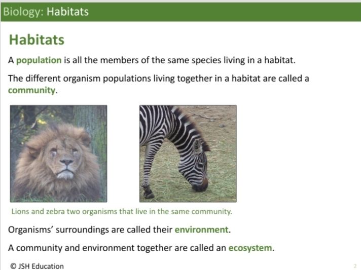 KS3 Biology: Habitats