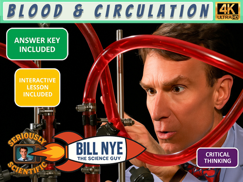 Bill Nye Blood & Circulation Worksheet with Answer Key | 4K Full Episode