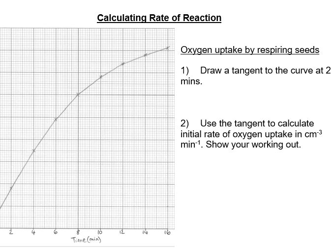 Calculating initial rate / Tangents - A Level Biology