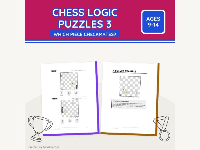Chess Logic 3: Which Piece Checkmates?