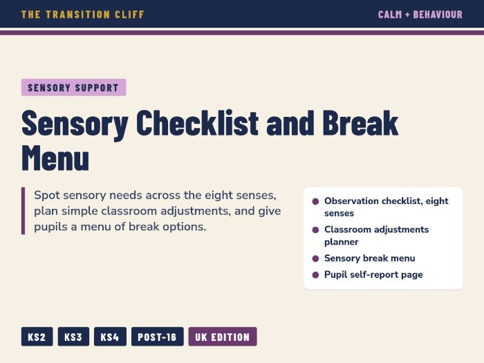 Sensory Observation Checklist + Sensory Break Menu for SEND: Classroom Adjustments KS2 to Post-16