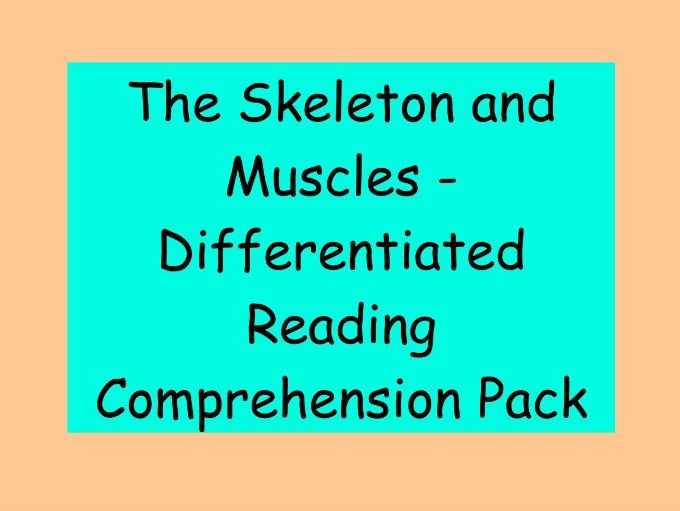 The Skeleton and Muscles – Differentiated Reading Comprehension Pack (LKS2)