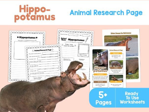 Hippo Research Project | Animal Habitats and Adaptations KS2
