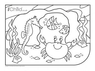 ocean colouring in picture teaching resources