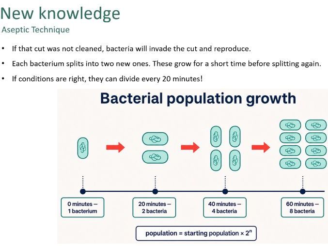 Culturing microorganisms (Biology GCSE AQA)