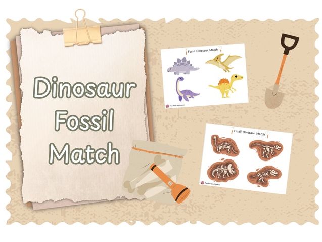 Dinosaur Fossil Match