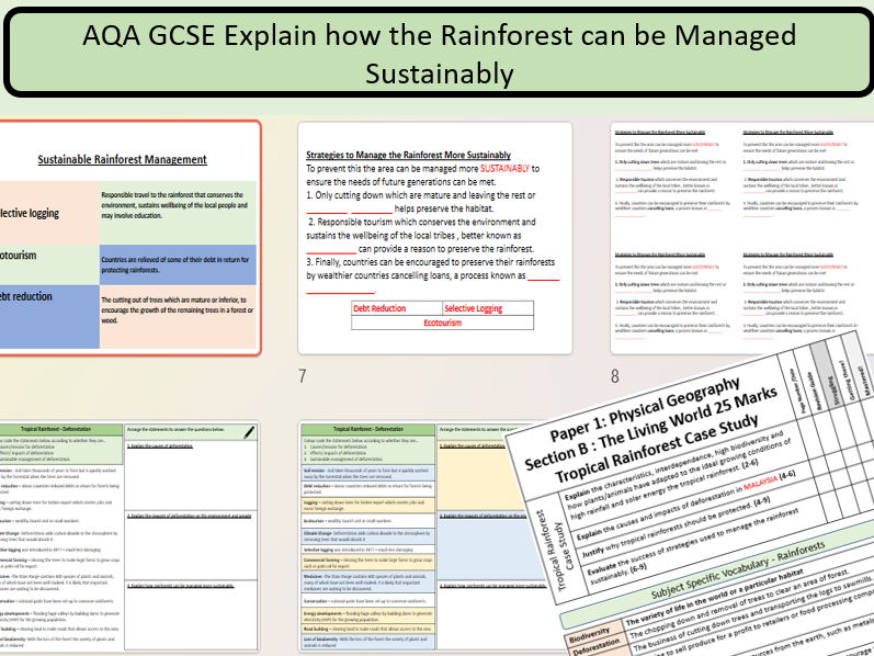 GCSE AQA 9-1: The Sustainable Management of  Rainforests.