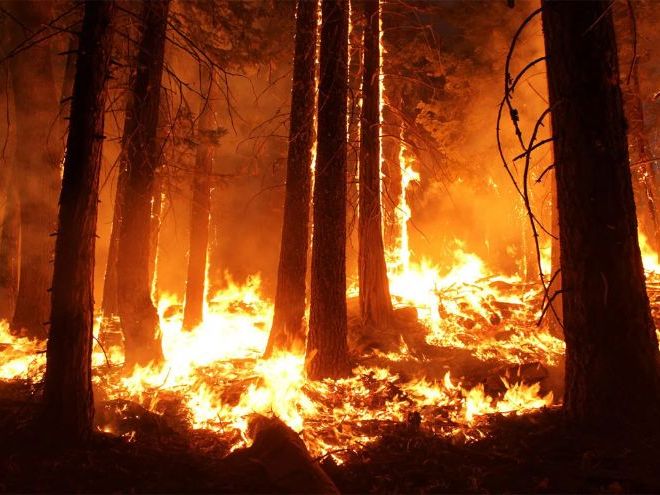 Cambridge A Level Geography  - 9.3 Wildfire hazards and impacts