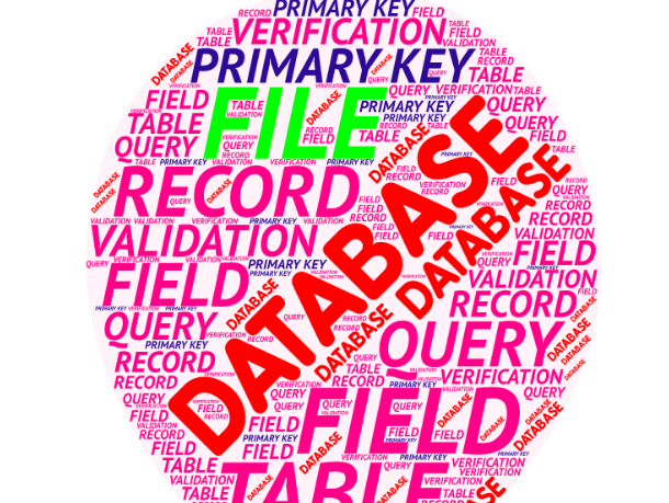 DATABASE