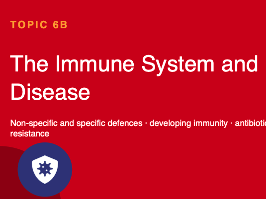 A2 Biology International 6B- Immunity -Edexcel
