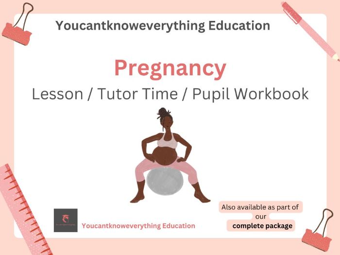 Pregnancy PSHE Workbook