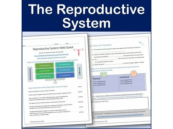 Reproductive System Webquest | Editable Digital Science Activity