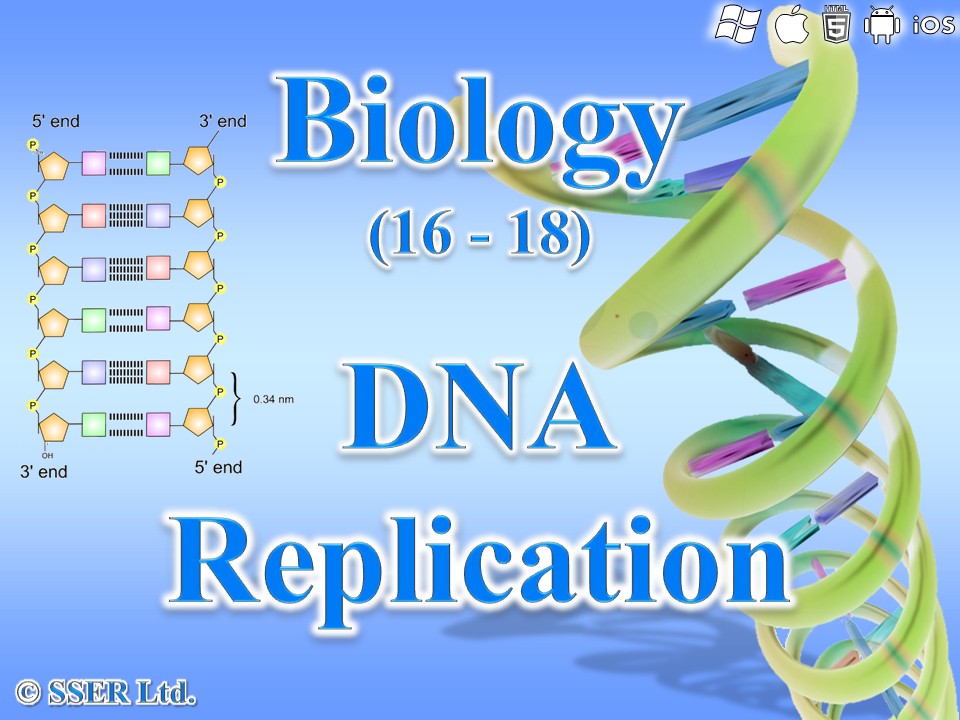 BioA_3.1.5.2 The Replication of DNA