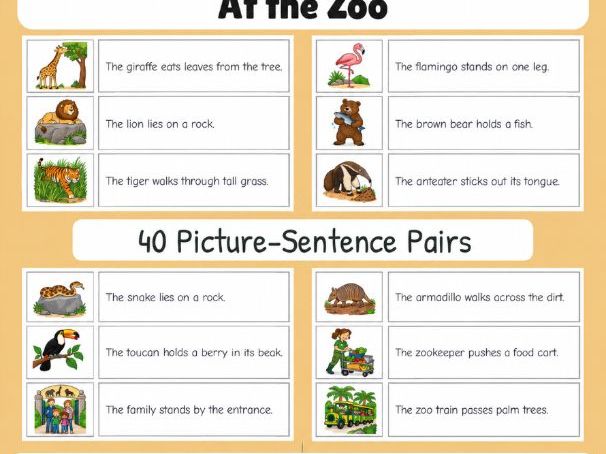 At the Zoo | First Sentences | Grades 1-2